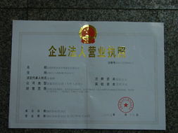 企業(yè)護(hù)航 從注冊到審計(jì)的全方位工商財(cái)務(wù)指南
